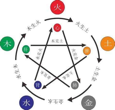 木和水的关系|郭极中：解析五行（木、火、土、金、水）相克的理论。